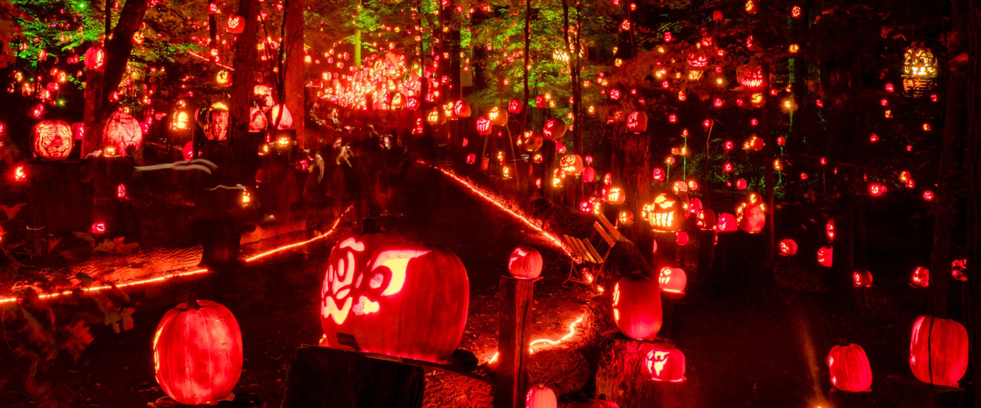 Where to Find the Best Halloween Parties in the US