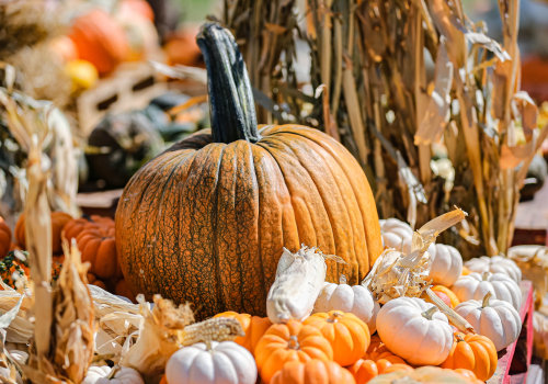 The Best Pumpkin Picking Spots for Halloween Near Oklahoma City