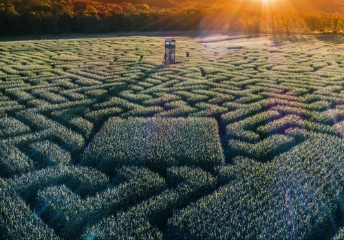 7 Stunning Corn Mazes in Oklahoma for Halloween