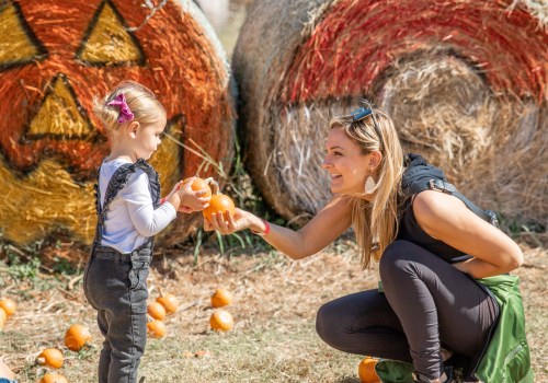 Explore the Best Pumpkin Patches in Oklahoma City for Halloween